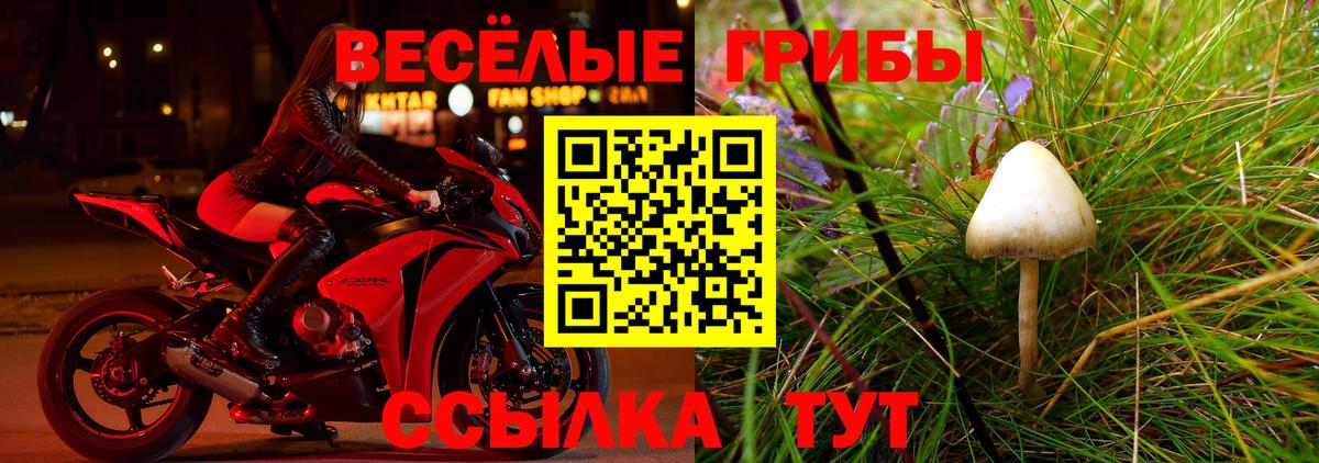 Галлюциногенные грибы Magic Shrooms  Псилоцибиновые грибы ЛСД  Миллерово  Вход с VPN 