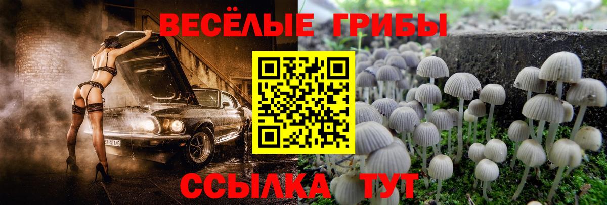 Псилоцибиновые грибы GOLDEN TEACHER Миллерово